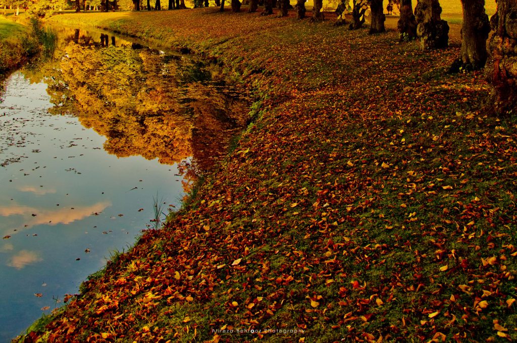 Colourful autumn