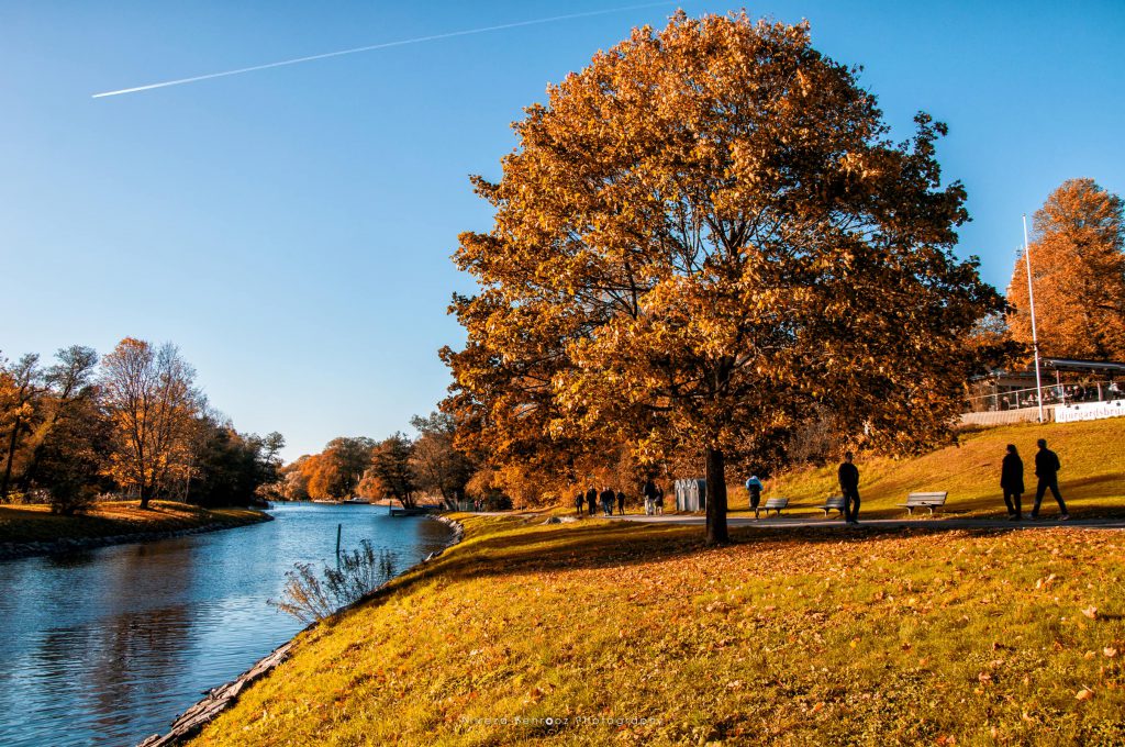 Autumn at Djurgården