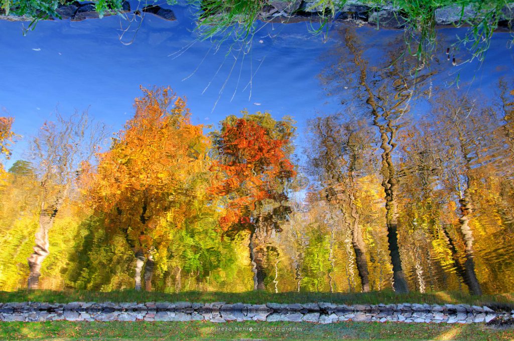 Autumn reflections