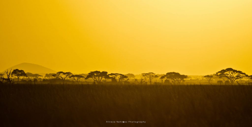 Amboseli national park