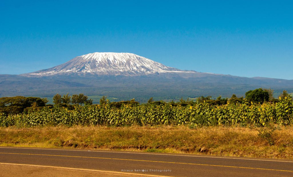 Mount Kilimanjaro I