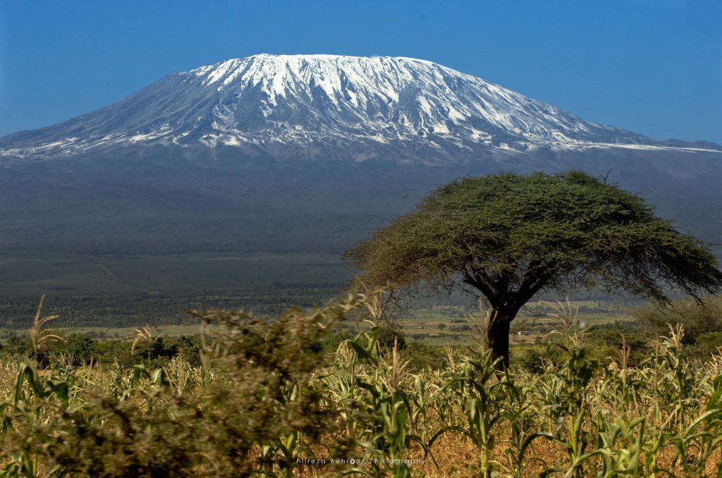 Mount Kilimanjaro II