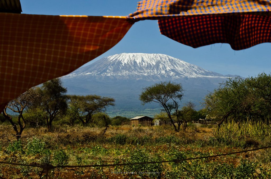 Mount Kilimanjaro III
