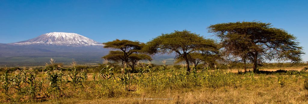 Mount Kilimanjaro IX