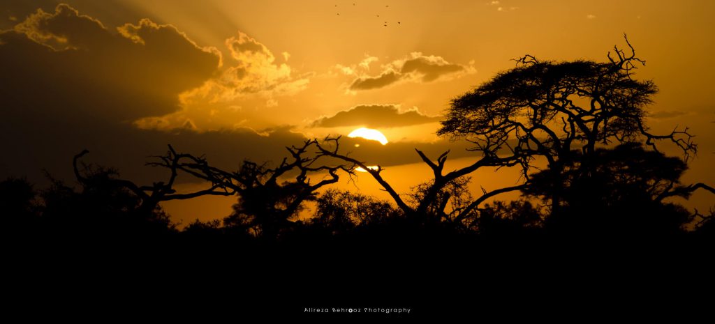 African sunset