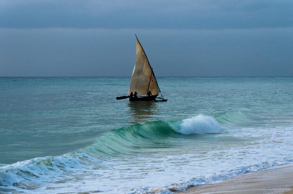 Diani Reef