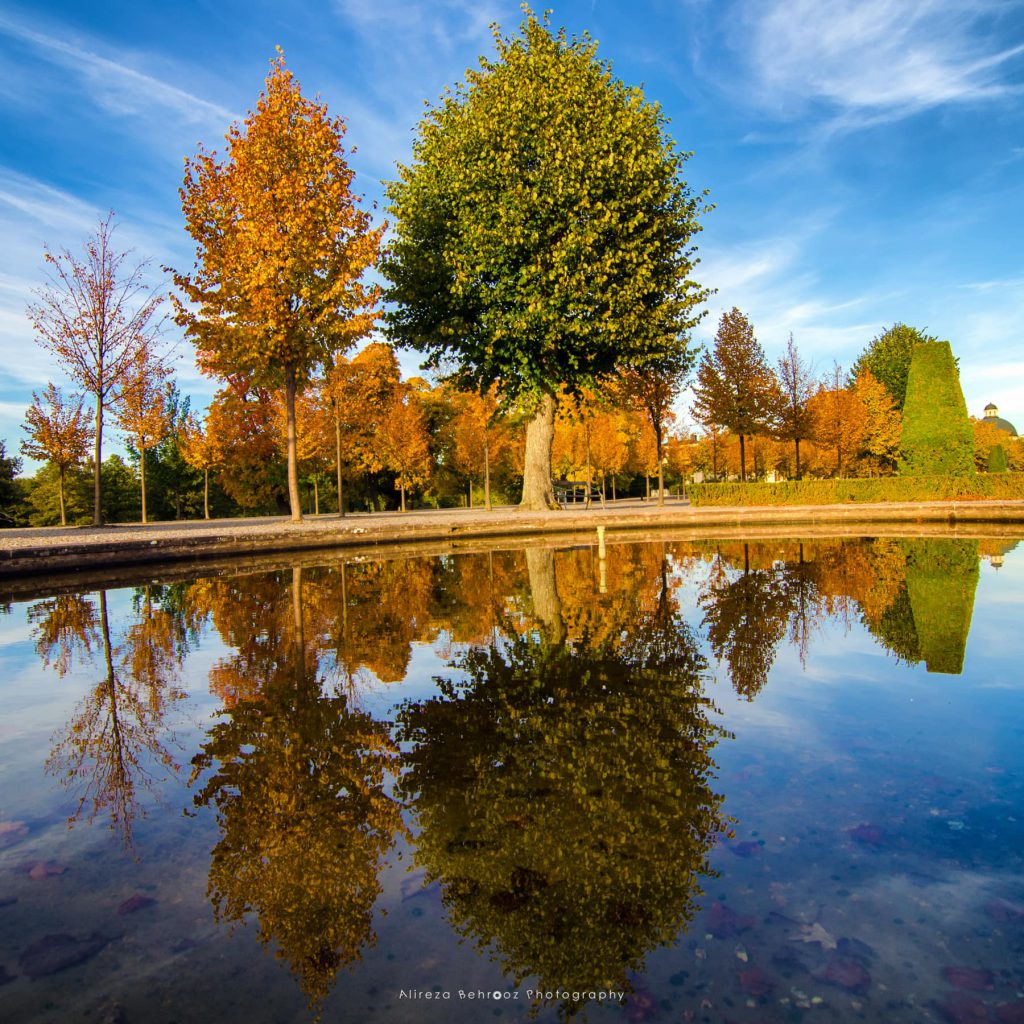 Autumn reflections II