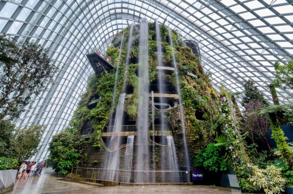 Cloud Forest