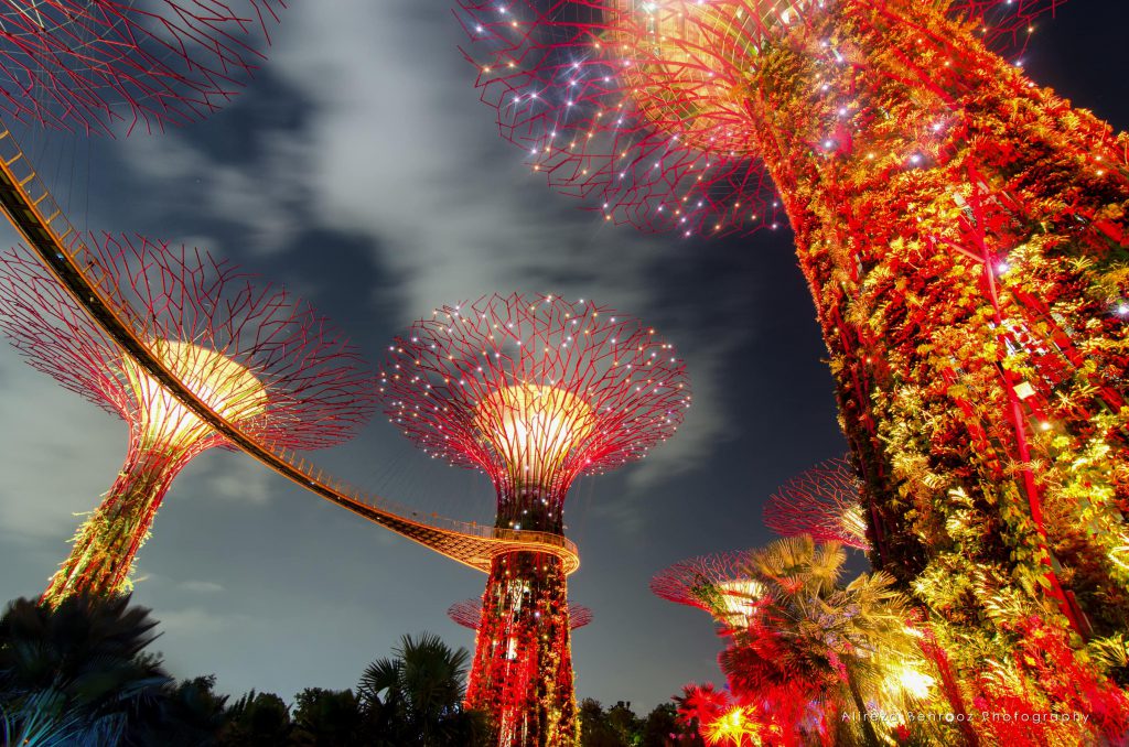 Gardens by the bay light show