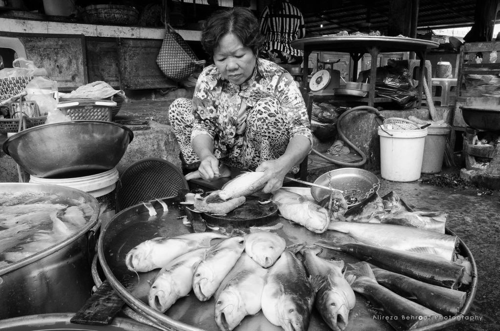 Chợ Tân An fish market, Southern Vietnam