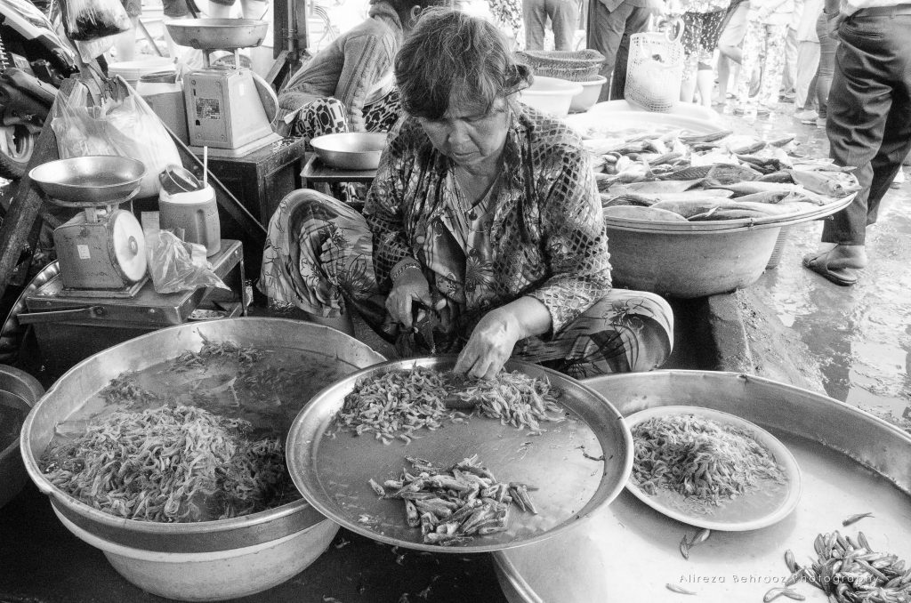 Chợ Tân An fish market, Southern Vietnam