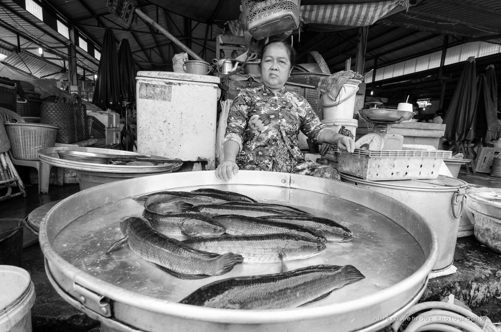 Chợ Tân An fish market, Southern Vietnam