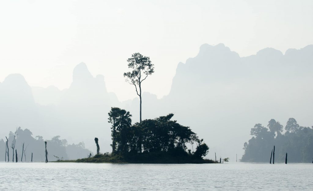 Small island in Cheow Lan lake