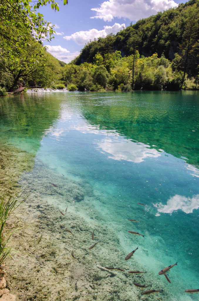 Plitvice lakes, Croatia