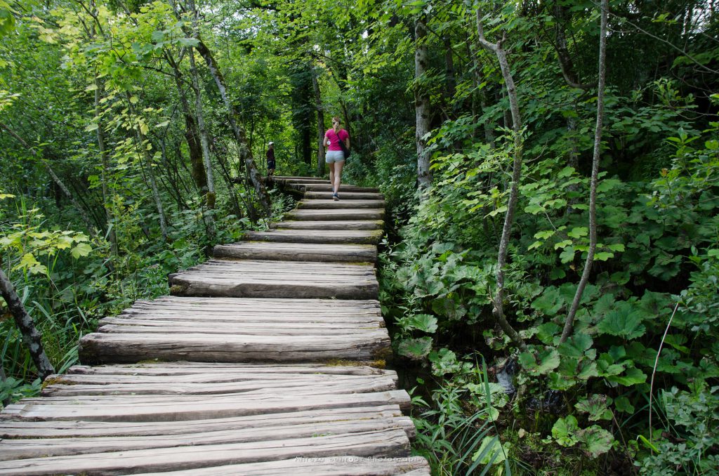 Into the woods, Plitvice national park, Croatia